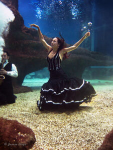 Sesiones fotográficas en aquarium con Anabel Veloso