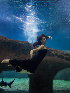 Sesiones fotográficas en aquarium con Anabel Veloso